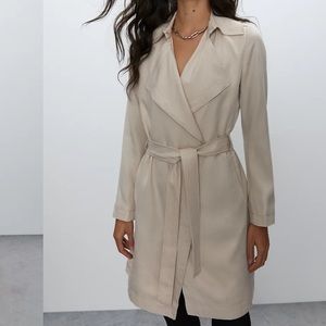 OLIVE Aritzia Babaton Maximo Trench Coat